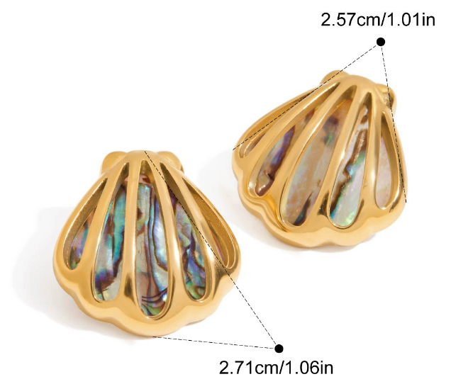 Stainless steel earrings