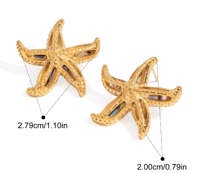 Stainless steel earrings