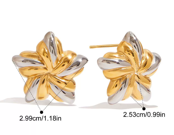 Stainless steel earrings