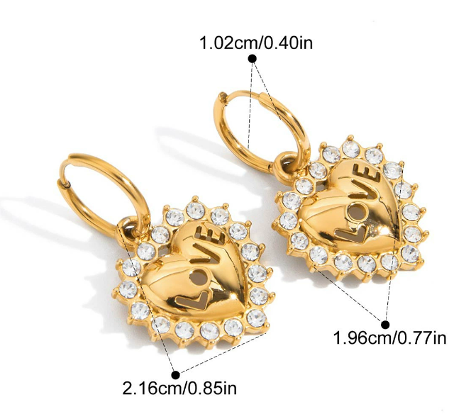 Stainless steel earrings