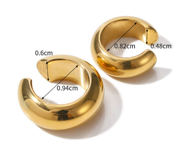 Stainless steel earrings