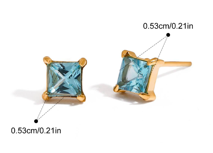 Stainless steel earrings