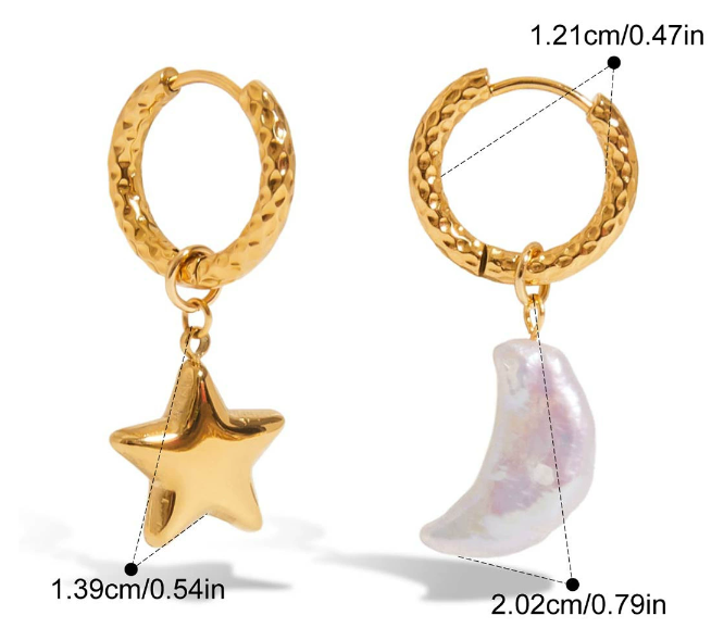 Stainless steel earrings