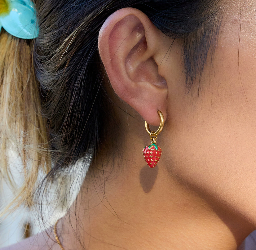 Stainless steel earrings