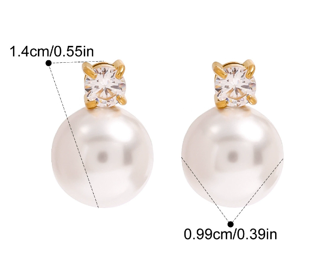 Stainless steel earrings