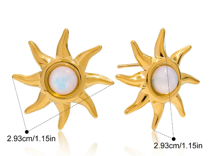 Stainless steel earrings