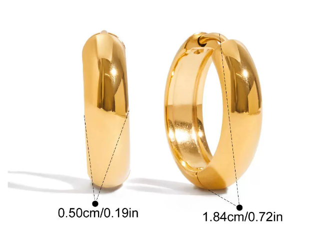 Stainless steel earrings