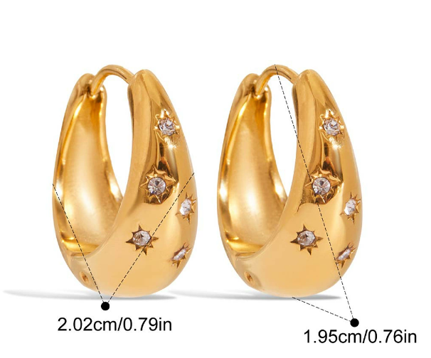 Stainless steel earrings