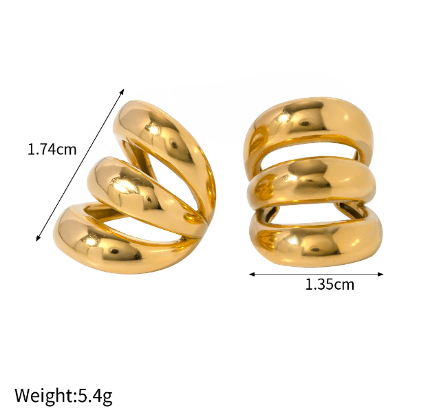 Stainless steel earrings