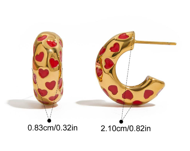 Stainless steel earrings