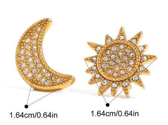 Stainless steel earrings