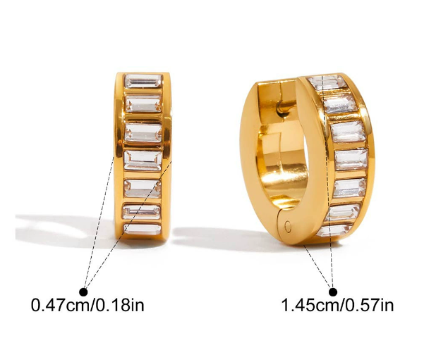 Stainless steel earrings