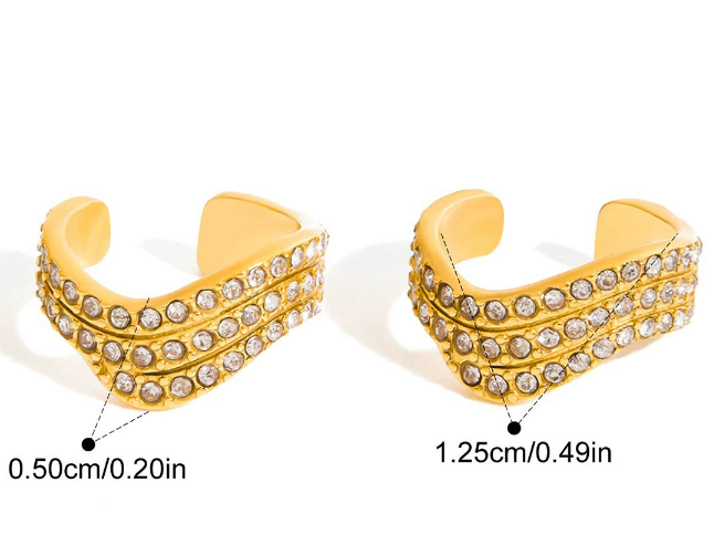 Stainless steel earrings