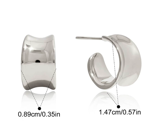Stainless steel earrings