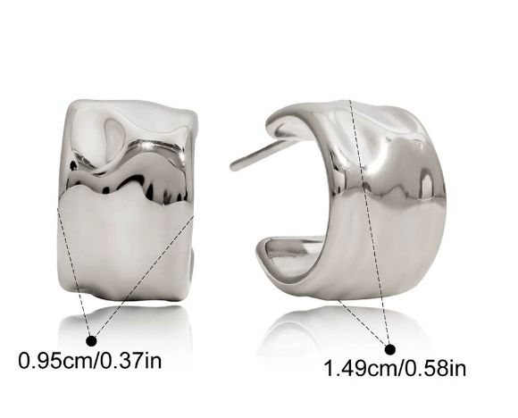 Stainless steel earrings