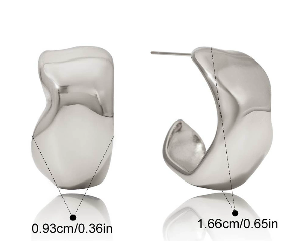 Stainless steel earrings