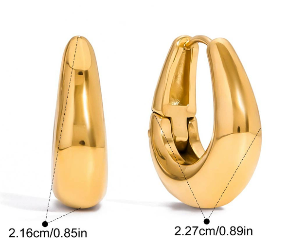 Stainless steel earrings