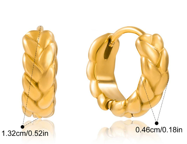 Stainless steel earrings