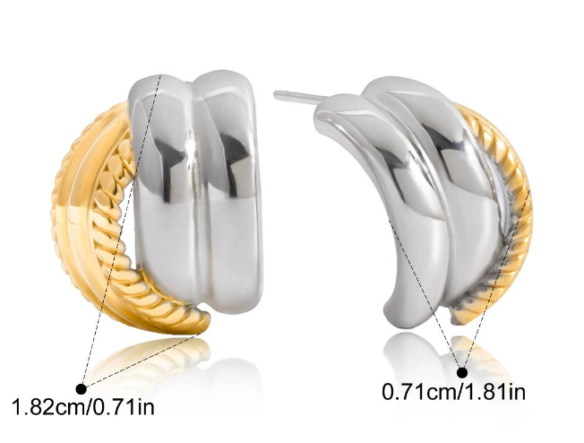 Stainless steel earrings