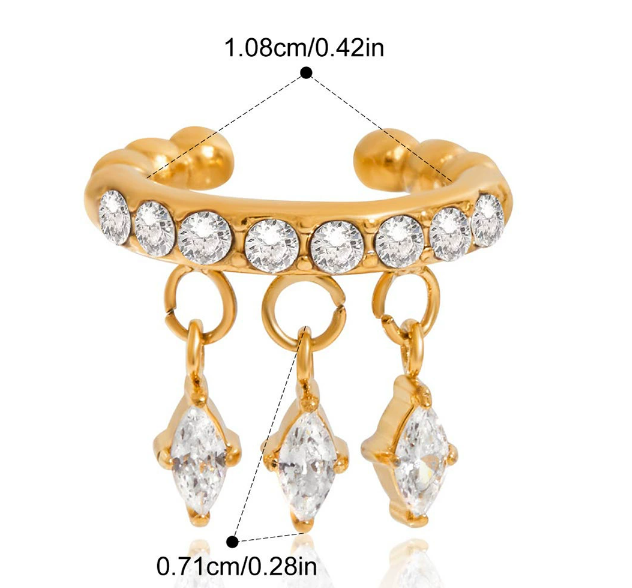 Stainless steel earrings