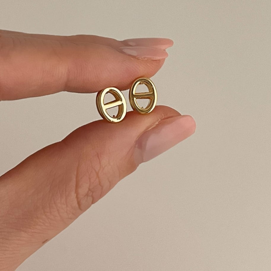 925 Sterling Silver Chic Earrings