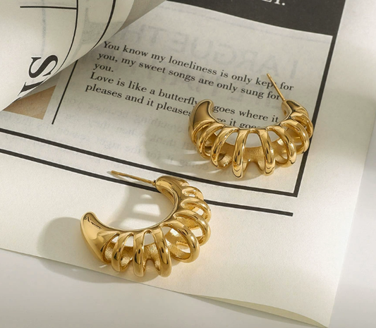 Stainless steel earrings