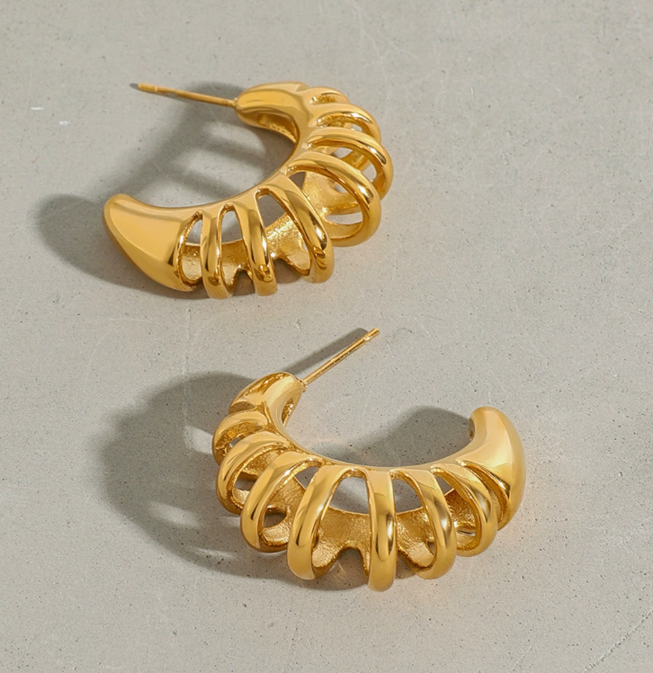 Stainless steel earrings