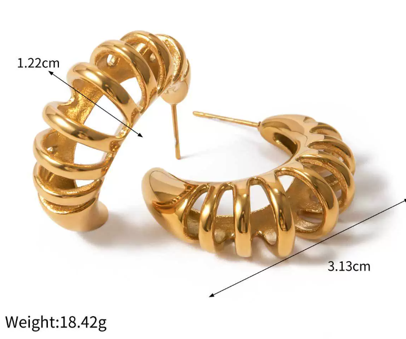 Stainless steel earrings