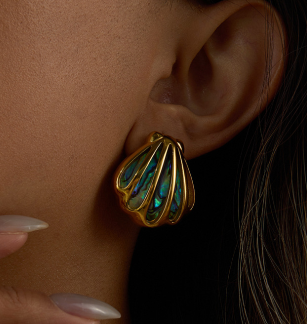 Stainless steel earrings