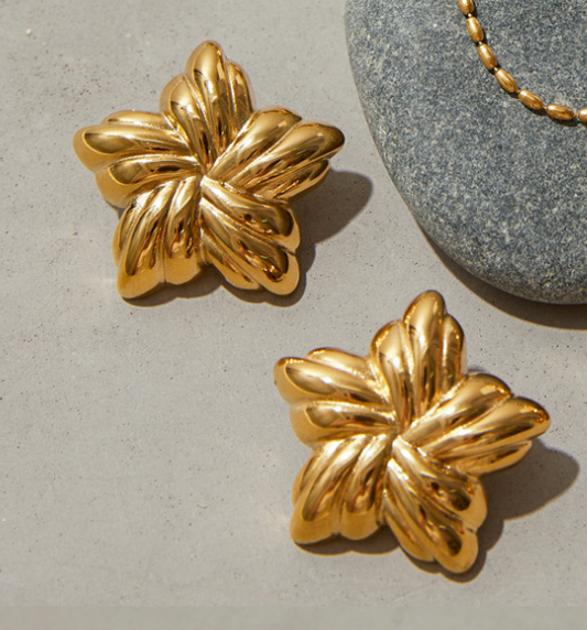 Stainless steel earrings