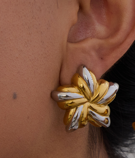 Stainless steel earrings