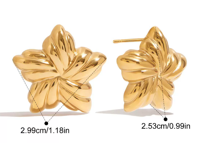 Stainless steel earrings