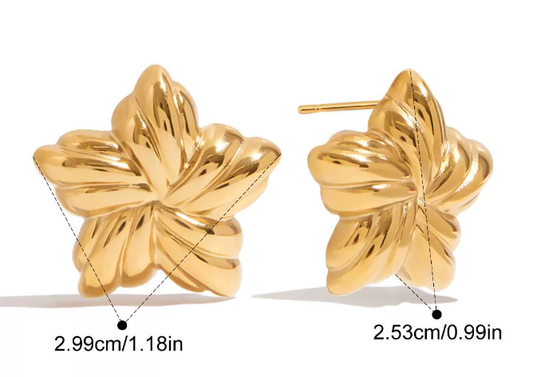 Stainless steel earrings