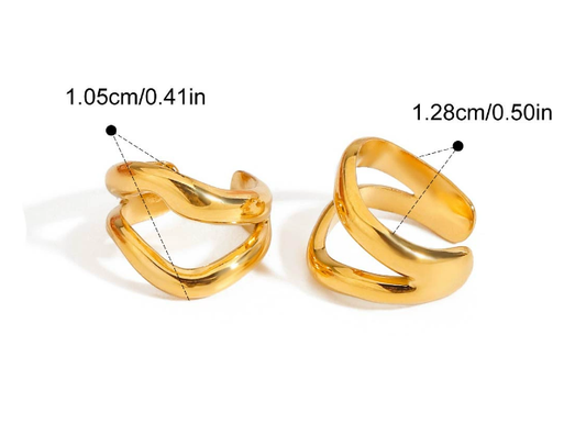 Stainless steel earrings