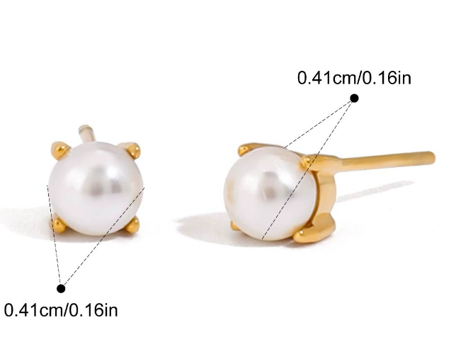 Stainless steel earrings