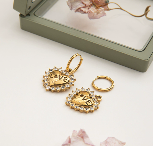 Stainless steel earrings