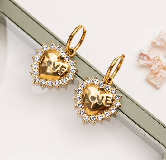 Stainless steel earrings