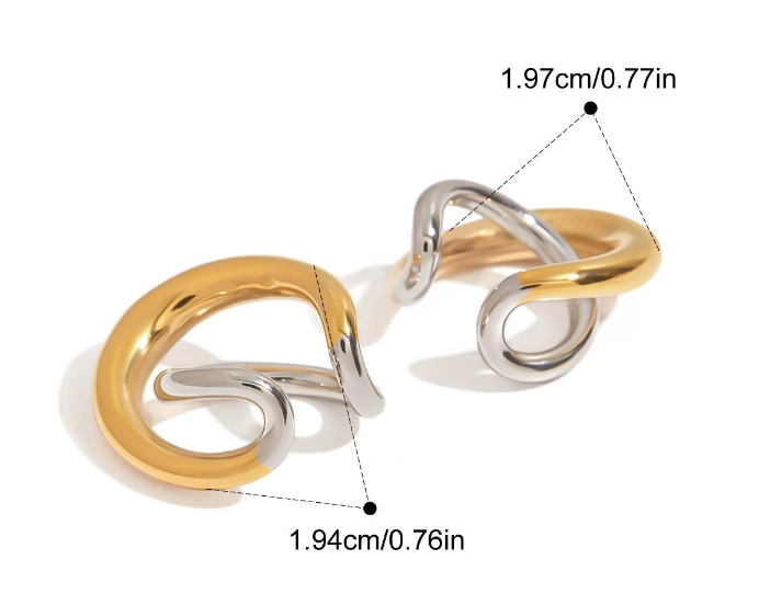 Stainless steel earrings