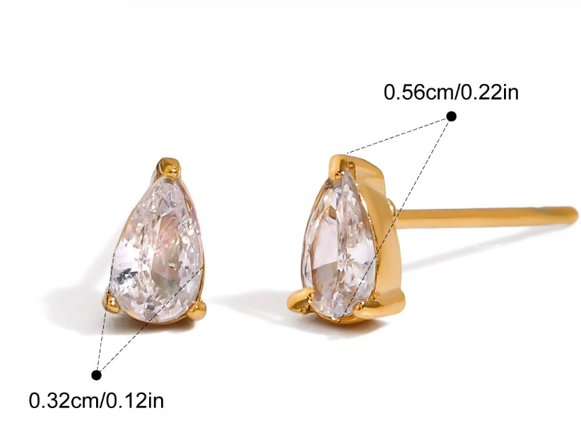 Stainless steel earrings