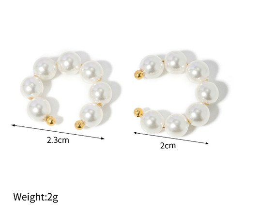 Stainless steel earrings