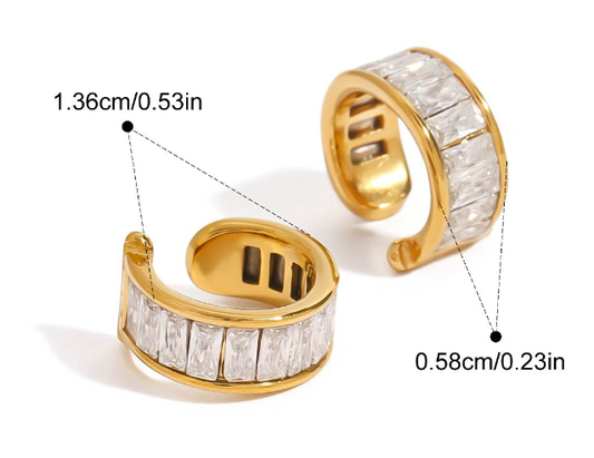 Stainless steel earrings