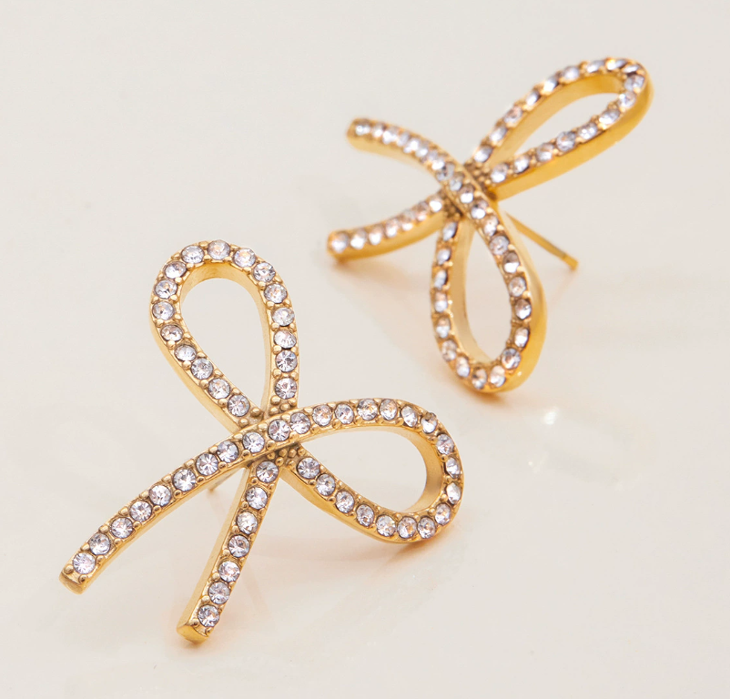 Stainless steel earrings