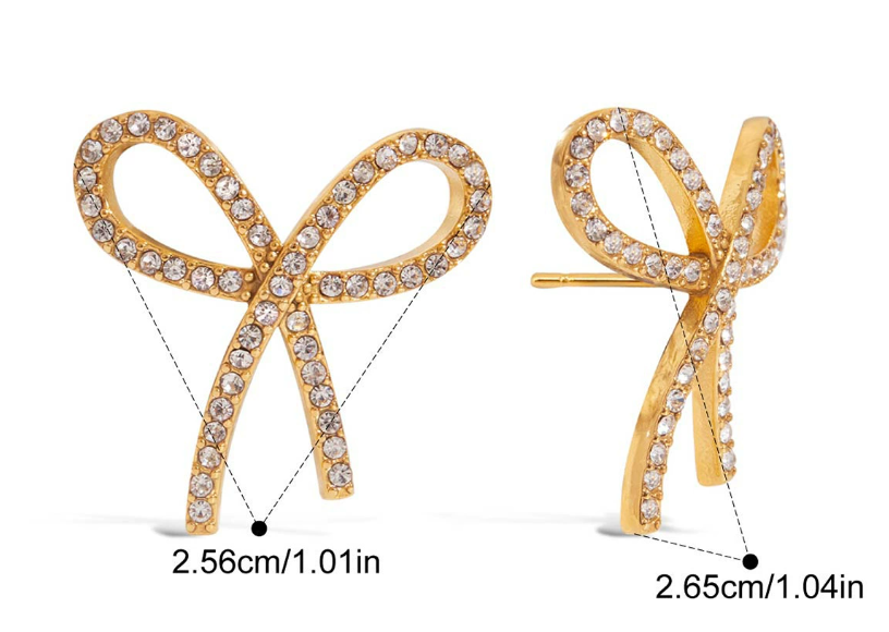 Stainless steel earrings