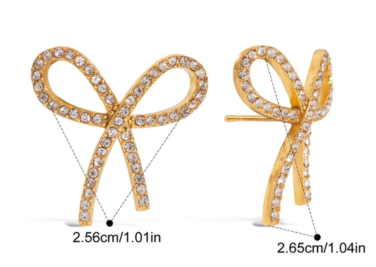 Stainless steel earrings