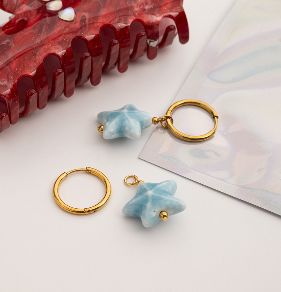 Stainless steel earrings