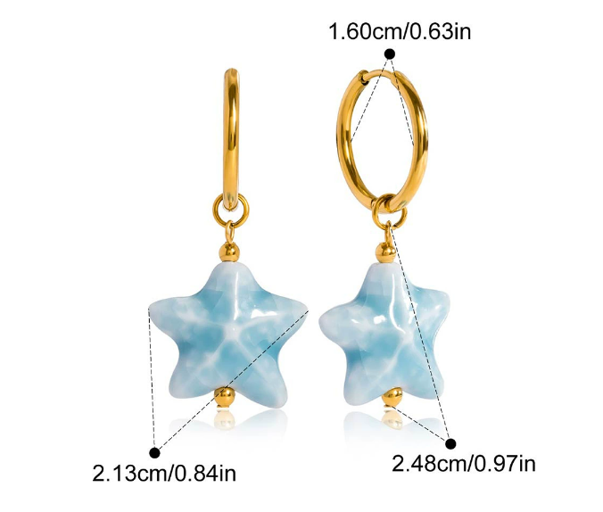 Stainless steel earrings