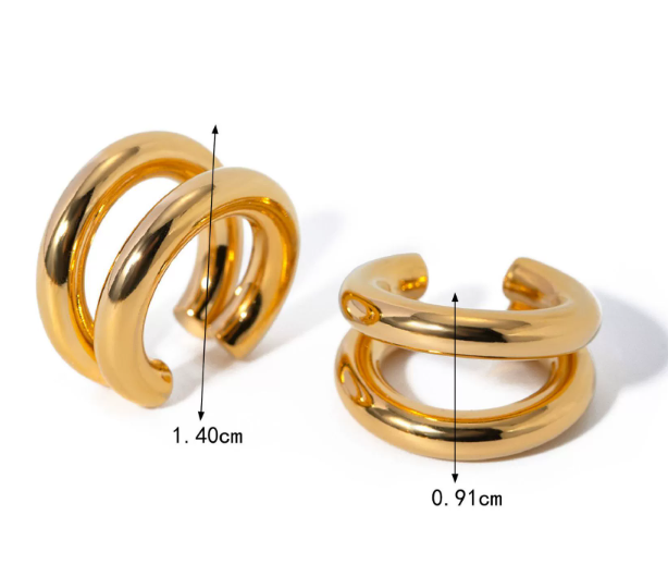 Stainless steel earrings