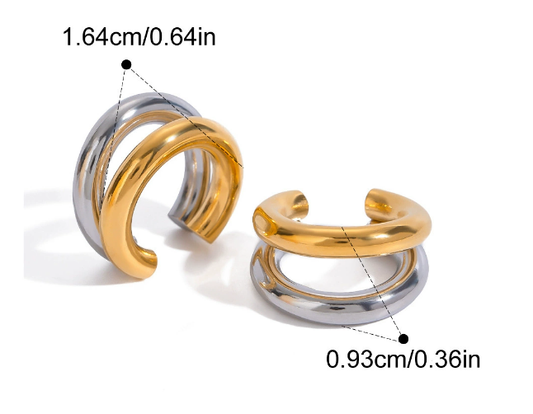 Stainless steel earrings