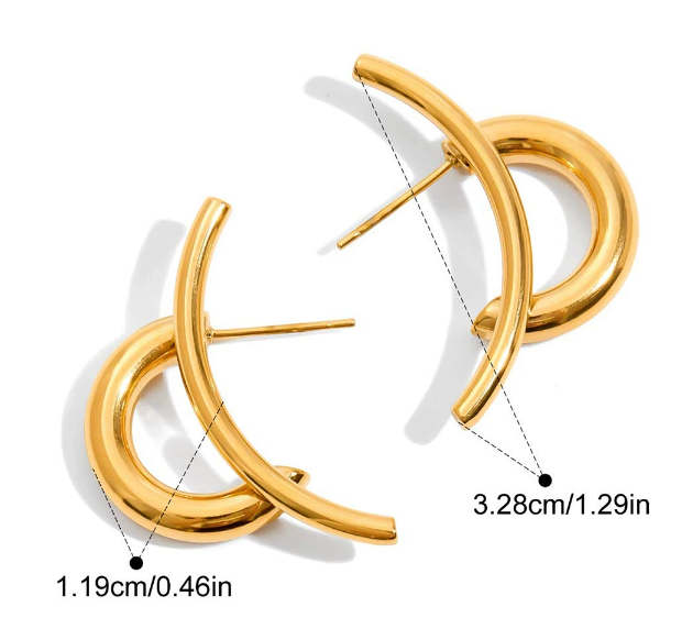 Stainless steel earrings