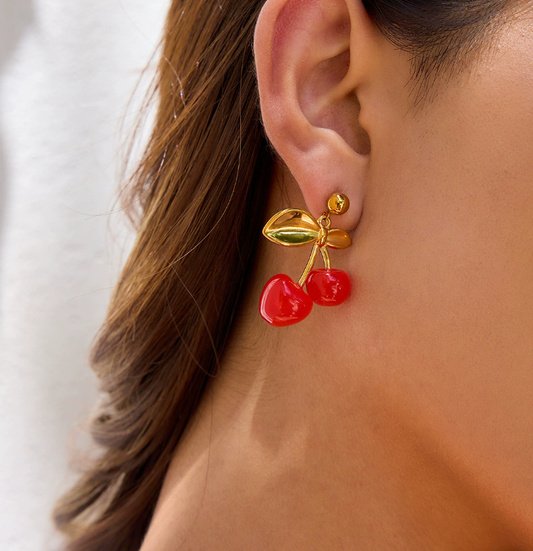 Stainless steel earrings